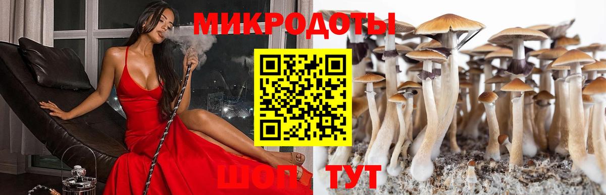 Галлюциногенные грибы Psilocybine cubensis  Псилоцибиновые грибы Psilocybine cubensis  Вход с VPN  где продают   Ливны 